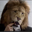 Лев Лимин's avatar